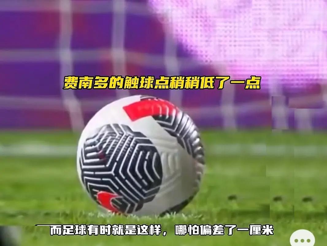 可以说是本